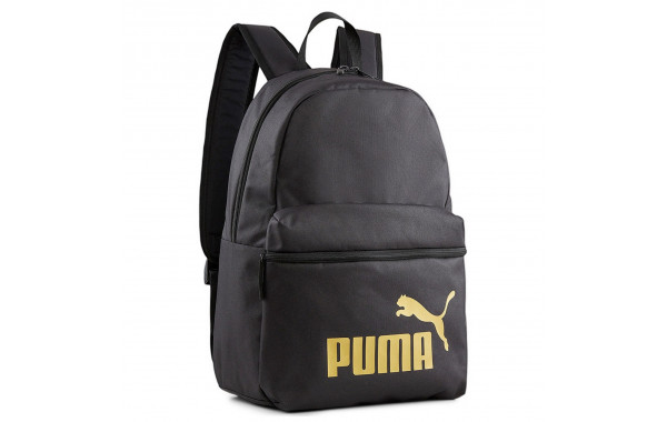 Рюкзак спортивный 41x 28x 14см, 22л Puma Phase Backpack 07994303 600_380