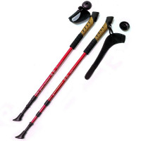 Палки для скандинавской ходьбы телескопическая, 3-х секционная Sportex F18440 красный