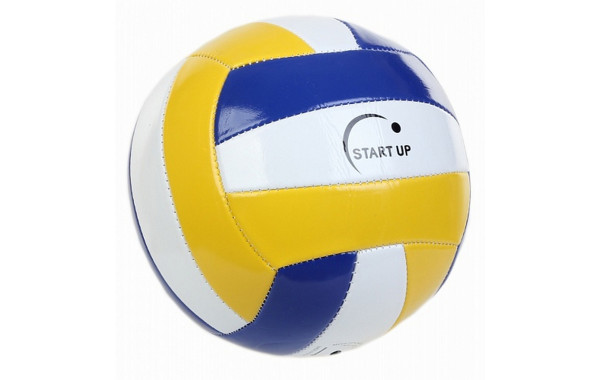 Мяч волейбольный для отдыха Start Up E5111 600_380