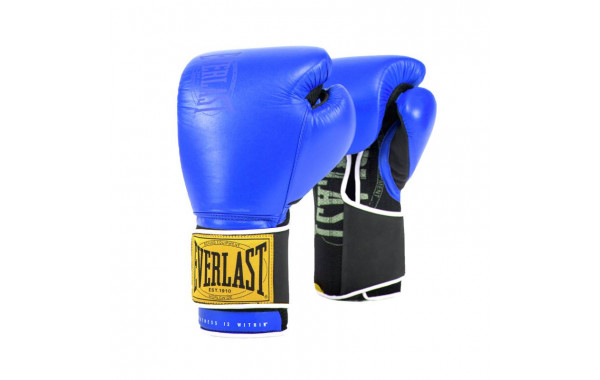 Боксерские перчатки Everlast 1910 Classic 14oz синий P00001715 600_380