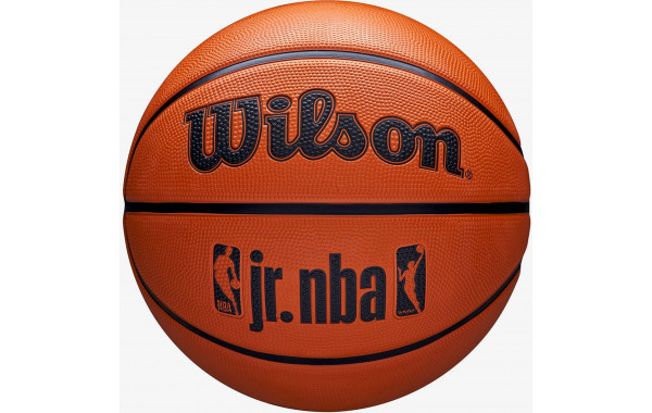 Мяч баскетбольный Wilson JR NBA DRV Fam Logo WZ3013001XB5 р.5 600_380