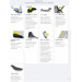 Лыжные ботинки Fischer Carbonlite Classic (S10520) (черно/желтый) 75_75