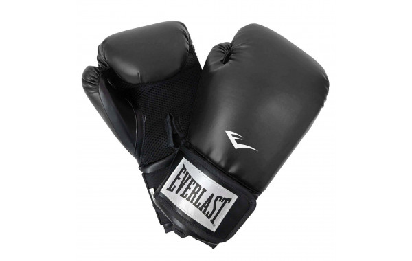 Перчатки тренировочные Everlast ProStyle 2 12oz P00003074 черный 600_380