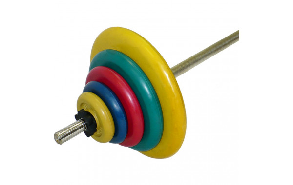 Штанга тренировочная 75,5 кг MB Barbell цветная 600_380